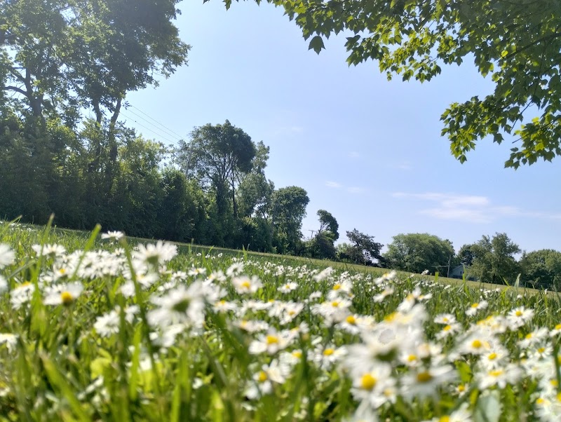 JR Wilson Park - Rochester, NY