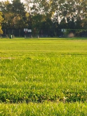 La Grange Park