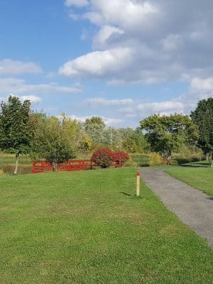 Lions Park