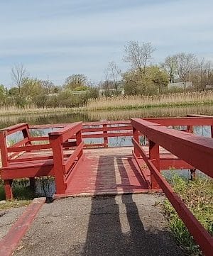 Lions Park