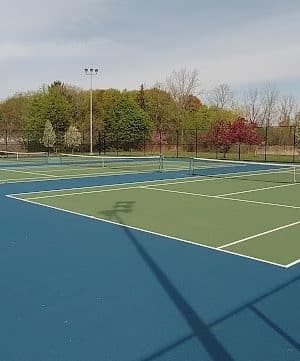 Lions Park