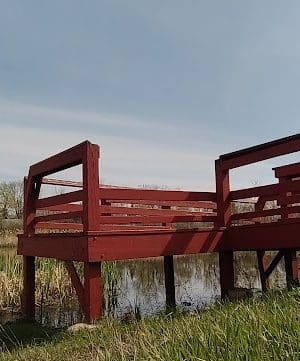 Lions Park