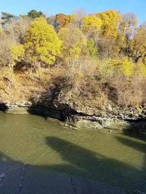 Lower Falls Park