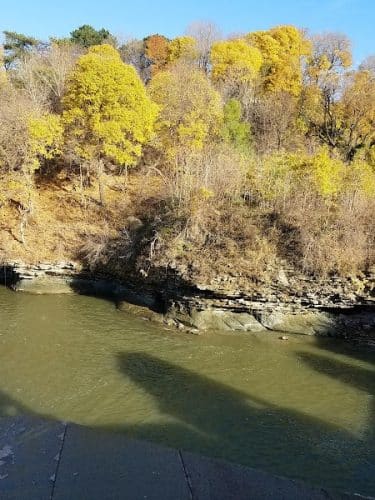 Lower Falls Park