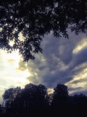 Lunsford Circle Park