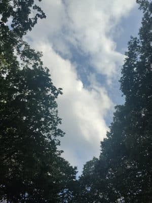 Lunsford Circle Park