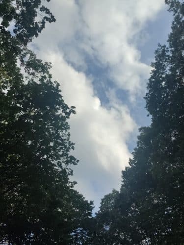 Lunsford Circle Park
