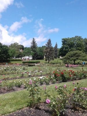 Maplewood Park