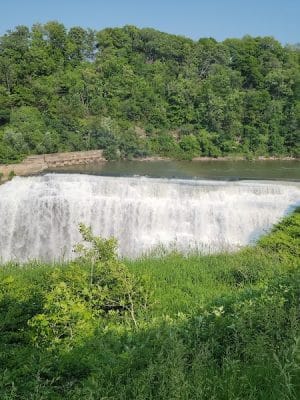 Maplewood Park