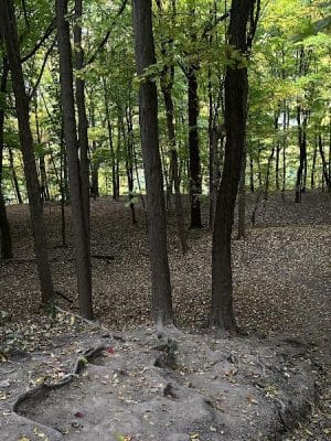 Maplewood Park