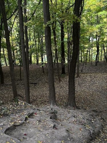 Maplewood Park