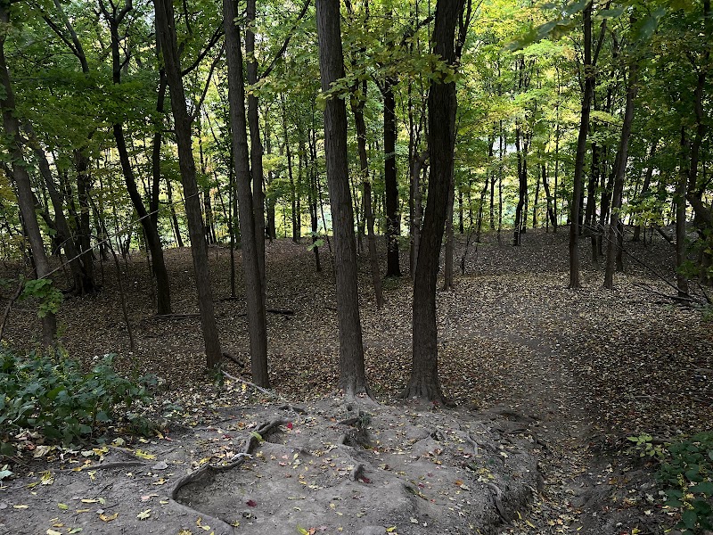 Maplewood Park - Rochester, NY