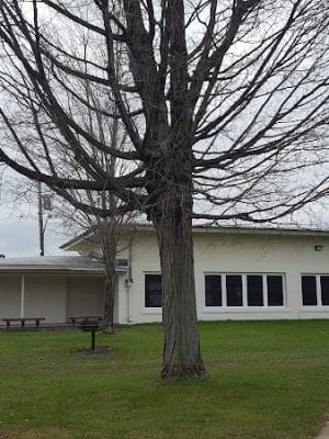 Norton Village Park