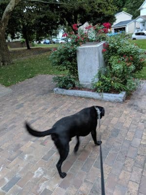 Otto Henderberg Park