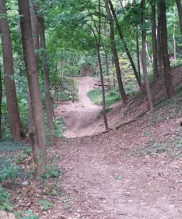 Otto Henderberg Park