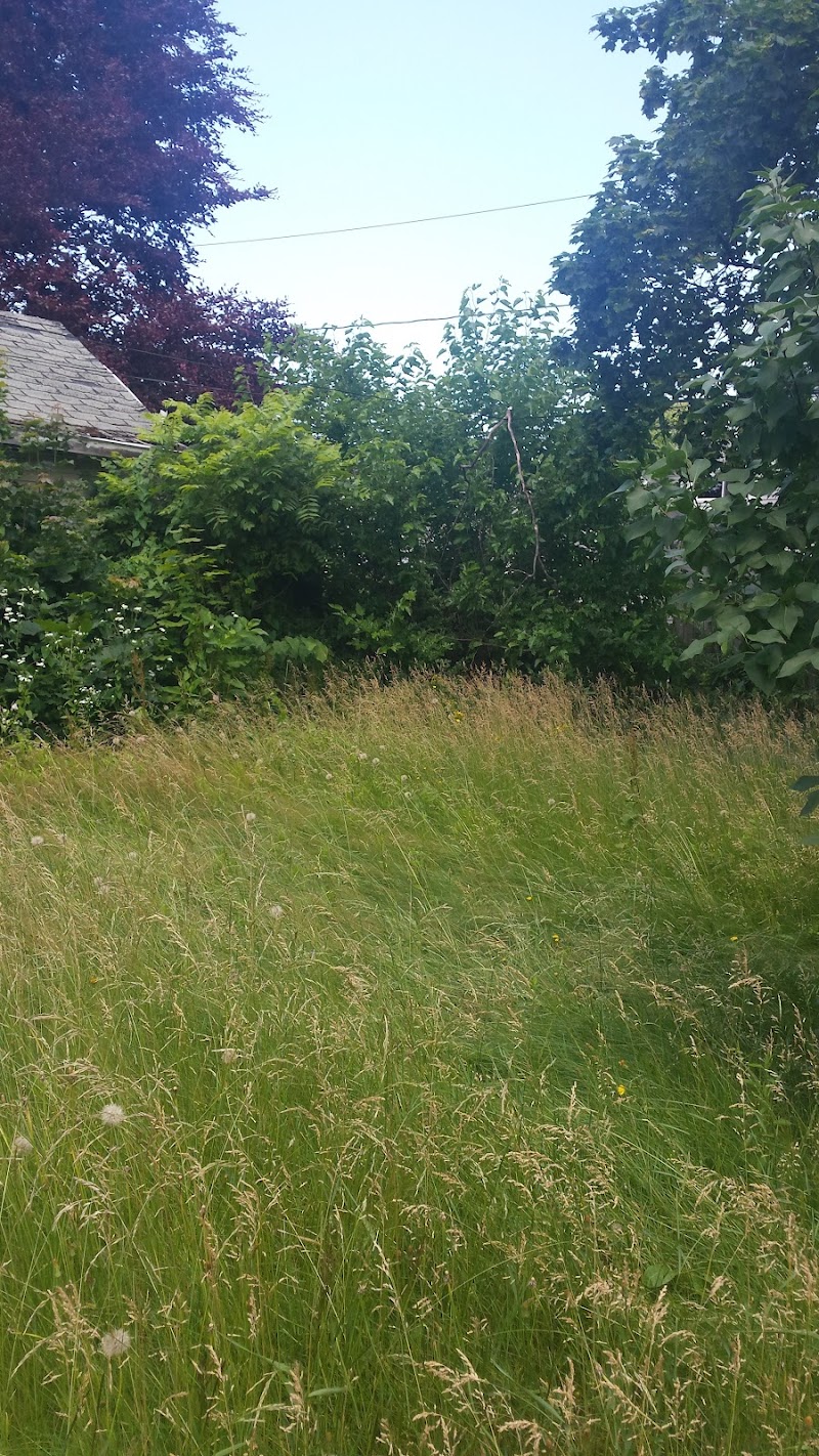 Pappas Park - Rochester, NY