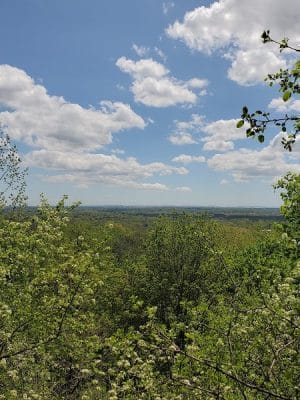 Pinnacle Hill Trail