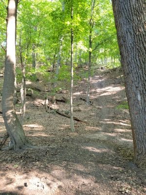 Pinnacle Hill Trail