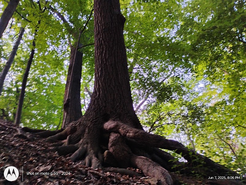 Pinnacle Hill Trail - Rochester, NY
