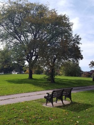 Pulaski Park