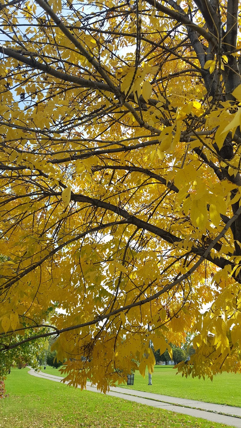 Pulaski Park - Rochester, NY