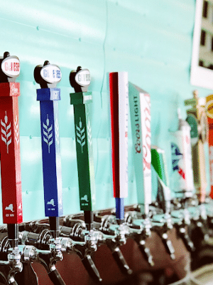 Rochester Beer & Park
