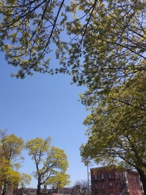 Schiller Park
