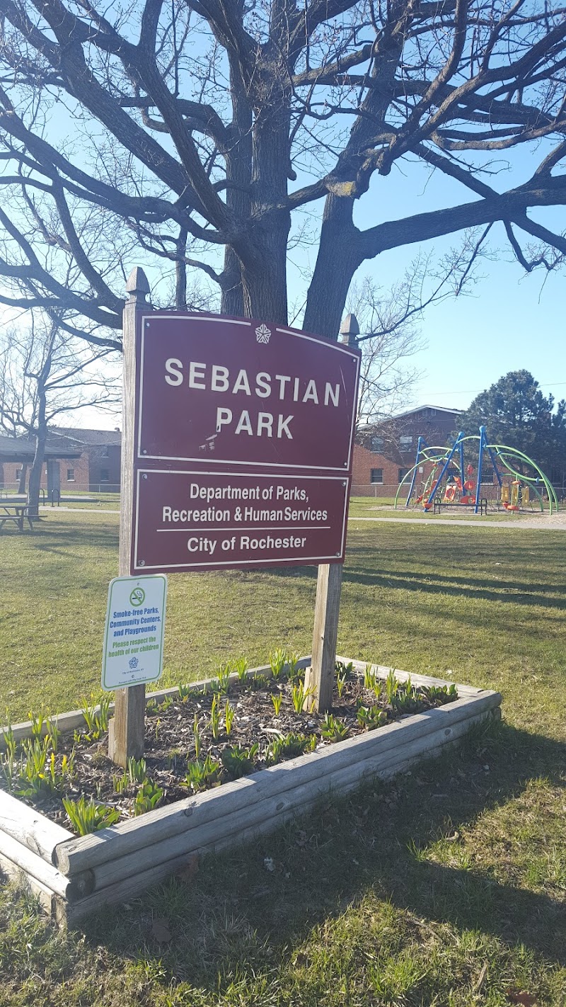Sebastian Park - Rochester, NY