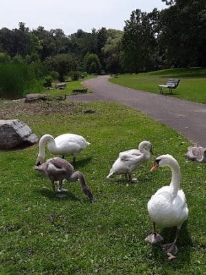 Seneca Park