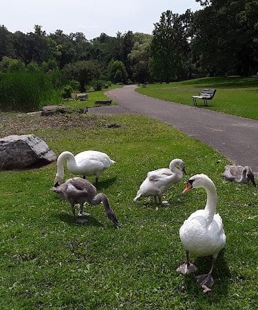 Seneca Park