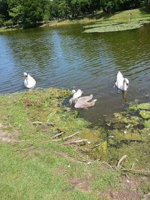 Seneca Park