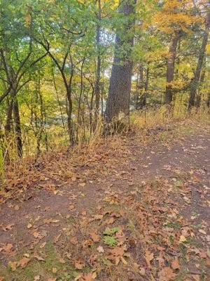 Seneca Park