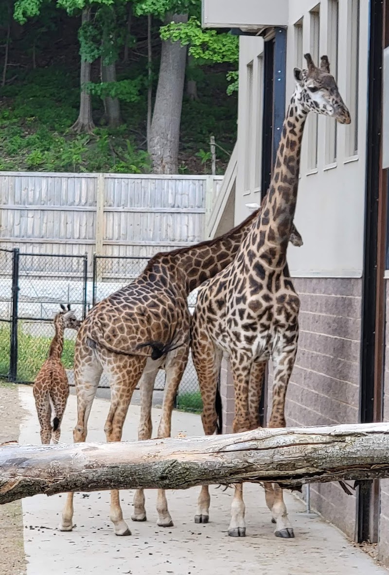 Seneca Park Zoo - Rochester, NY