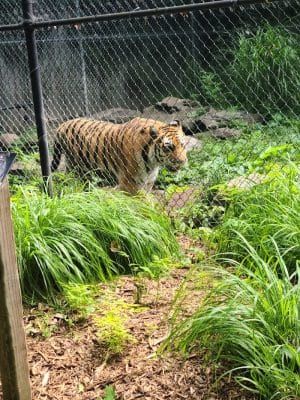 Seneca Park Zoo