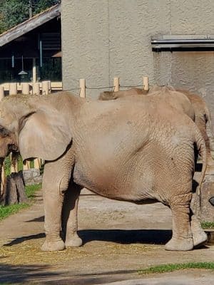 Seneca Park Zoo