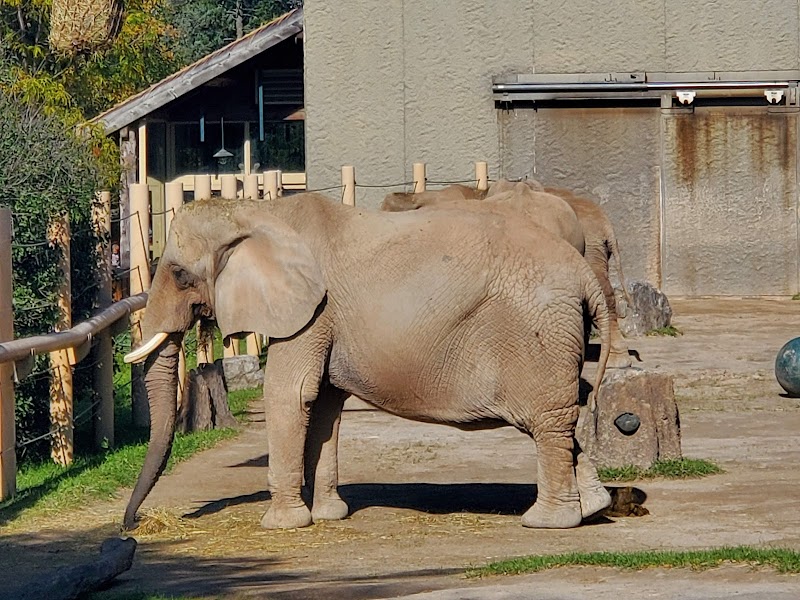 Seneca Park Zoo - Rochester, NY