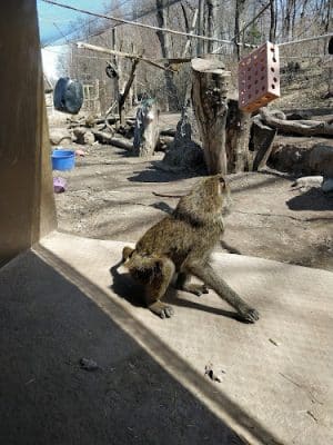 Seneca Park Zoo