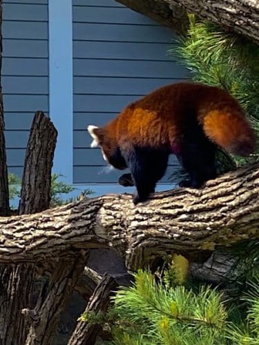 Seneca Park Zoo