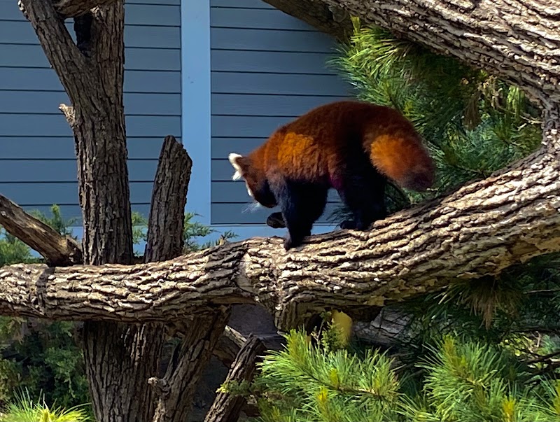 Seneca Park Zoo - Rochester, NY