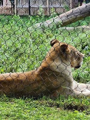 Seneca Park Zoo
