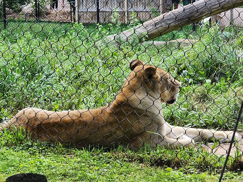 Seneca Park Zoo - Rochester, NY