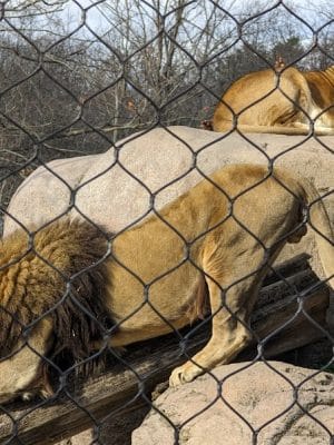 Seneca Park Zoo