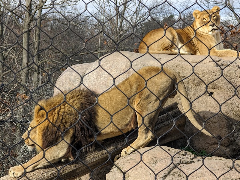 Seneca Park Zoo - Rochester, NY