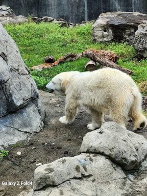 Seneca Park Zoo