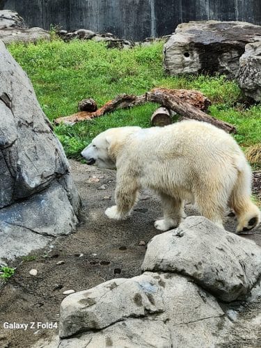 Seneca Park Zoo