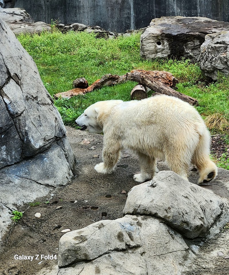 Seneca Park Zoo - Rochester, NY