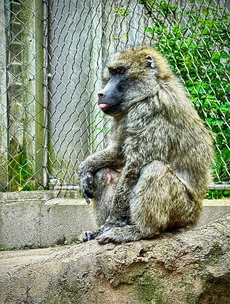 Seneca Park Zoo - Rochester, NY