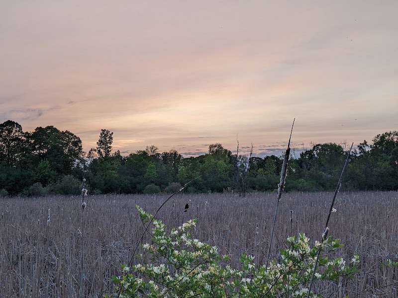 The Brickyard Trail At The Sandra Frankel Nature Park - Rochester, NY