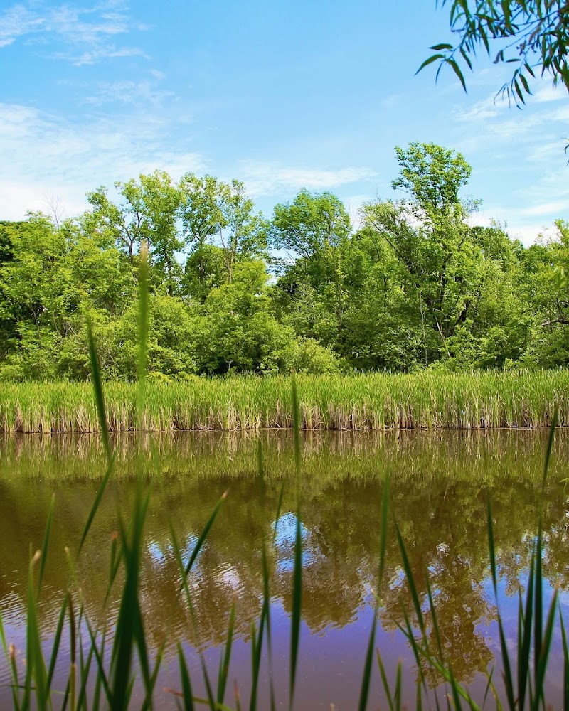 The Brickyard Trail At The Sandra Frankel Nature Park - Rochester, NY