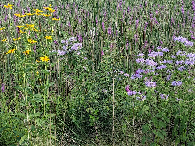 The Brickyard Trail At The Sandra Frankel Nature Park - Rochester, NY